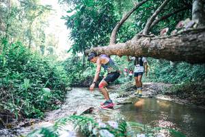 BIB: 
                            <button type="button" onclick="openModal(25436411)" class="btn btn-primary btn-sm float-right btn-popup" data-toggle="modal" data-target=".modal-high-quality">
                        <i class="fas fa-shopping-cart"></i> Add to Cart
                    </button>
                                            <button type="button" onclick="isThisMe(25436411, true)" class="btn btn-success btn-sm float-right btn-popup btn-isme hidden" data-toggle="tooltip" data-placement="bottom" title="นี่คือรูปของคุณใช่ไหม คลิกที่นี่เพื่อเอาเข้าอัลบั้ม">
                        <i class="fas fa-plus"></i> Add to album
                    </button>
                    <button type="button" onclick="isThisMe(25436411, false)" class="btn btn-warning btn-sm float-right btn-popup btn-isnotme hidden">
                        <i class="fas fa-ban"></i> Remove from album
                    </button>